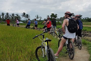 Kintamani volcano and Ubud Cycling and Biking Trail Through the Essence of Bali