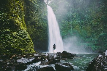 Jungle Swing and Nungnung Hidden Waterfall Tour