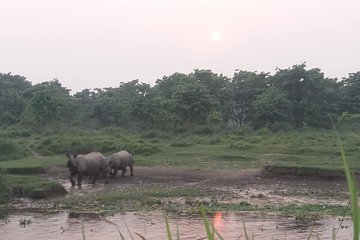Luxury Chitwan Jungle Safari - 3 Days