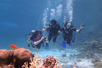 Padi Scuba Diving In Marsa Alam