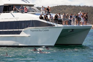 The Peppermint Bay Lunch Cruise from Hobart