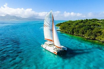 Spectacular Catamaran trip to Ile Aux Cerf Incl: Undersea walk, Lunch & GRSE 