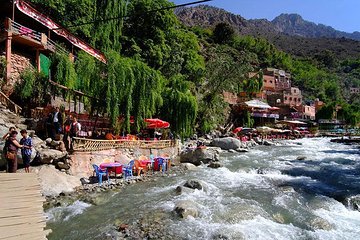 Private Day Trip to Ourika Valley from Marrakech