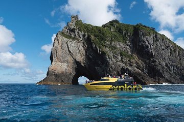 Bay of Islands Discover the Bay cruise including Dolphins