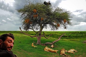 6 Days Great Migration Budget Safari 