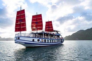 Bai Tu Long Luxury Day Cruise - Fishing Village, Kayak