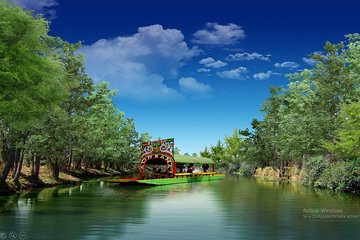 Mexico City Tour And Xochimilco