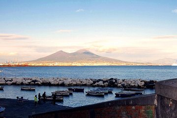 Ancient Pompeii up to the Vesuvius Tour with Local Guide & Driver from Naples