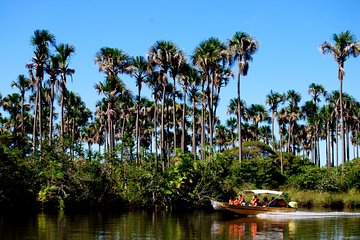 Boat Tour On The Preguiças River