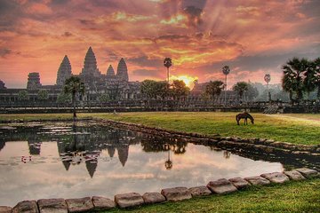 One Day Private Guide Tour of Angkor Thom, Bayon, Ta Phrom & Angkor Wat