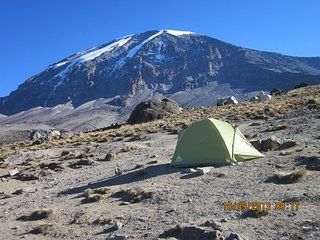 8-Day Kilimanjaro Adventure-Lemosho Route