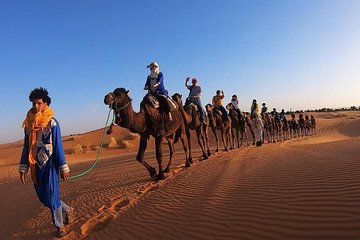 Camel Ride Experience