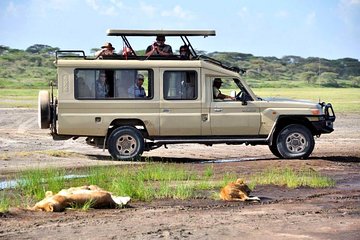  4 Days Masai Mara Lodge Safari on 4x4 Land Cruiser Jeep