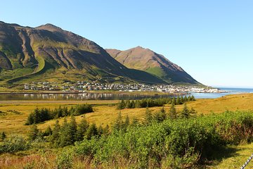 Siglufjörður, the Four-Tunnel Private Day Tour