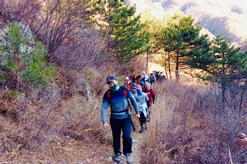 8-9 Hours Beijing Great Wall Layover Hiking from Jiankou to Mutianyu