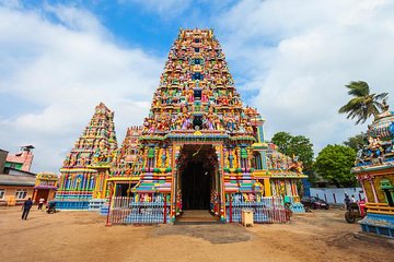 Sigiriya Day Tour & Trincomalee Drop With Holiday Walkers Sri Lanka 