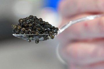 Mouth water caviar