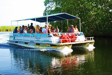 Black River Safari Tour from Kingston