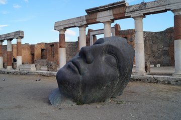 Private Pompeii Tour and Archeological Museum of Naples