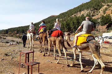 Ourika Valley, and Waterfall Tour from Marrakech with Lunch