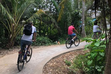 Private Non-touristy Mekong Delta with Biking 1 Day