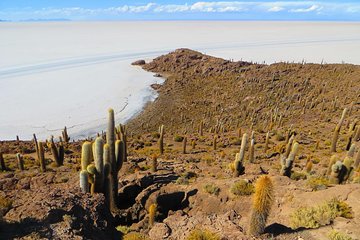 Salar De Uyuni (Classic 3 Days Trip) Spanish Guide