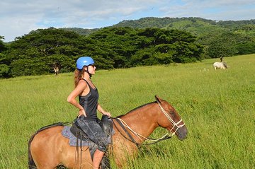 2-Hour Horseback Riding Tour in Guanacaste