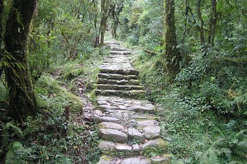 2 Days Panchase Hill Trekking
