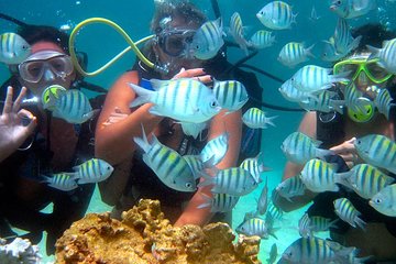 DIVING in PORTO de GALINHAS (WITH CYLINDER)