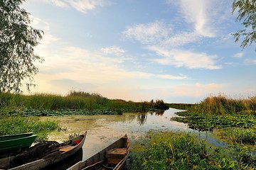 Danube Delta Private Tour from Bucharest