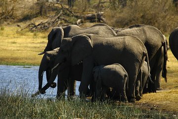 5 Day Victoria Falls and Hwange National Park Accommodated Safari Tour