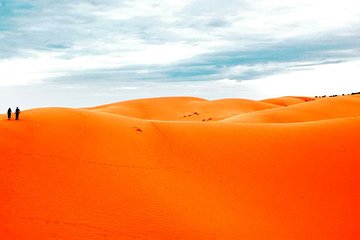 Thrilling Red Dune Desert Safari with 45 Minutes Dune Bashing and BBQ Dinner