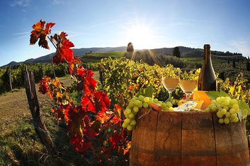 Chianti, SuperTuscan & San Gimignano - 2 wineries and light lunch