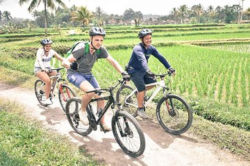 Kintamani Bike Tour