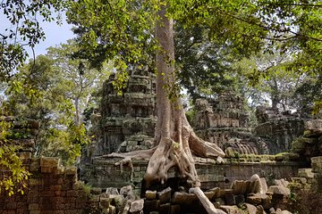 Explore Angkor Sunrise Tour 