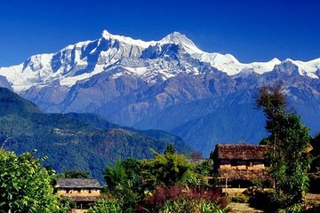Dhampus trek