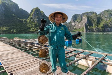 Luxury Halong Bay Day Trip From Hanoi