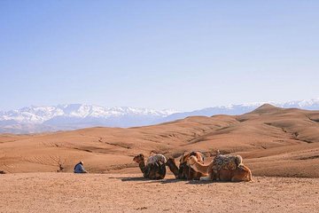  Marrakech: Agafay Desert & Atlas Mountains Tour With Camel Ride 