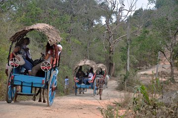 Sigiriya Village Tour from Negombo