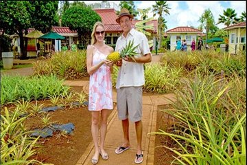 Pearl Harbor, Dole Plantation, Polynesian Center from Waikiki 