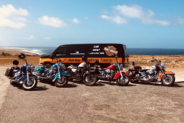 Harley-Davidson RENTALS ONLY 8 hrs