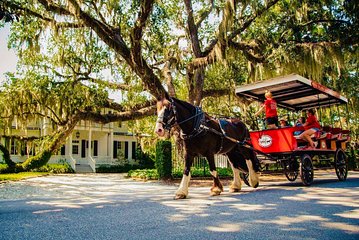 Beaufort’s #1 Horse & Carriage History Tour