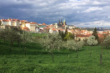 city tour to Prague Castle