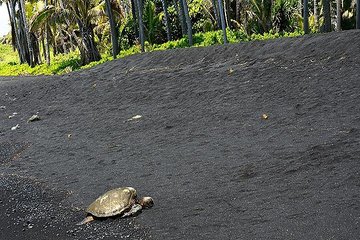 Hawaii Volcanoes National Park Experience from Kona Big Island