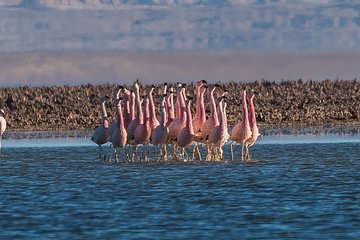 Private Atacama Photo tours