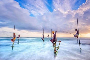 Srilanka 7 Days Classical Tour- Private Car (Can Customized)
