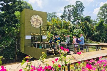 Private Tour : Orang Utan Island & Perak Cave Temple from KL