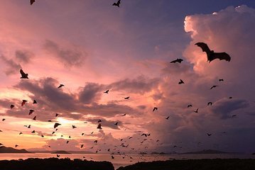 Sunset at Komodo Island