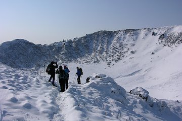 Customized Private JEJU Hiking Tour for 7 days (Mt. Hallasan and Olle Course)