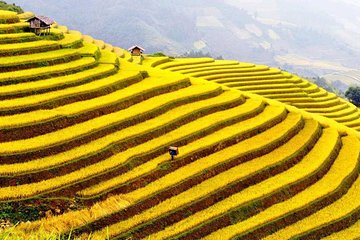 Sapa trekking 2 days 1 night by bus
